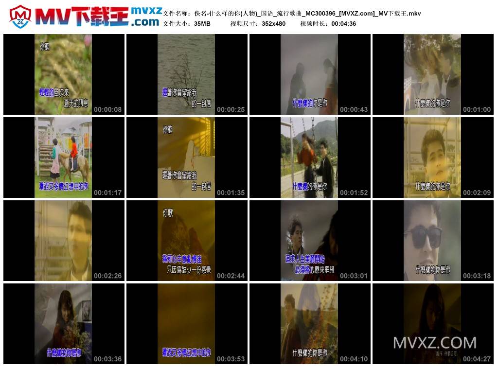 佚名-什么样的你(人物)_国语_流行歌曲_MC300396